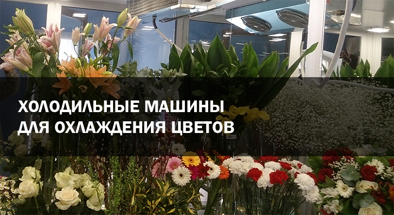 Цветочная витрина